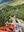 Monte San Silvestro, Ancona