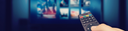 shutterstock_1502512787 (1) 1.png