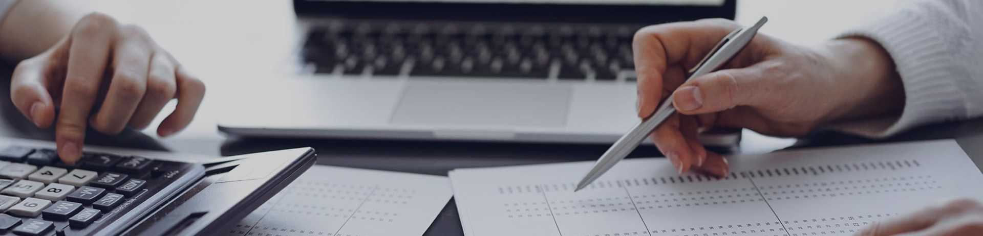 Società di revisione