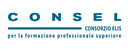 logo consel.png