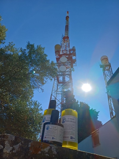 Torre San Silvestro e olio